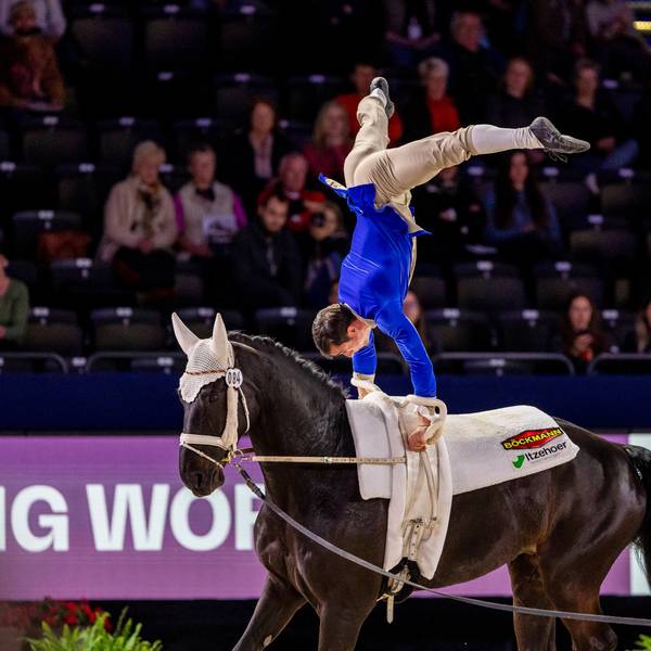 Artistische Glanzleistung hoch zu Pferd: Thomas Brüsewitz