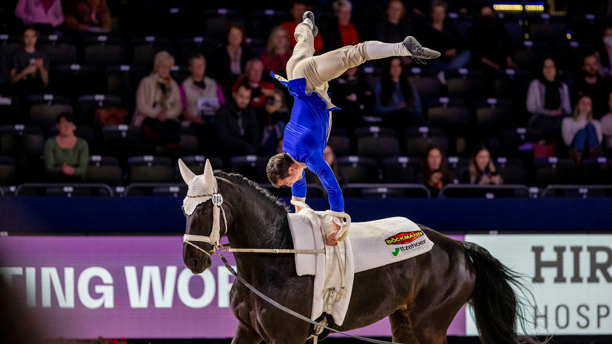 Artistische Glanzleistung hoch zu Pferd: Thomas Brüsewitz