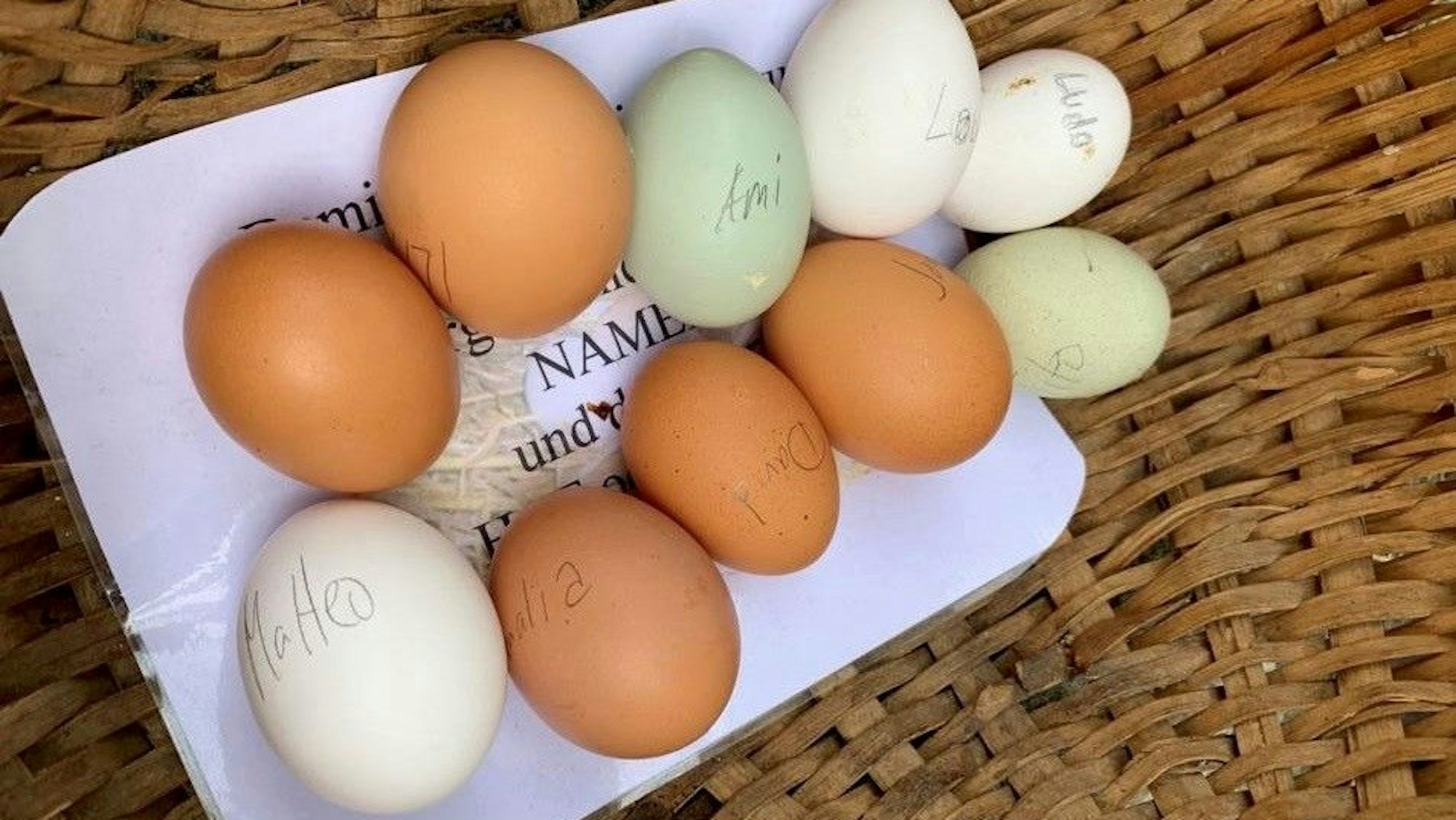 Eier in verschiedenen Farben von einem Bauernhof.