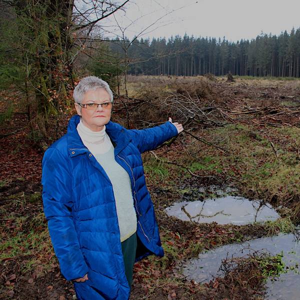 Gaby Cremer steht im Wald bei Hellenthal-Paulushof und deutet auf eine Stelle, an der zahlreiche Bäume gefällt wurden.