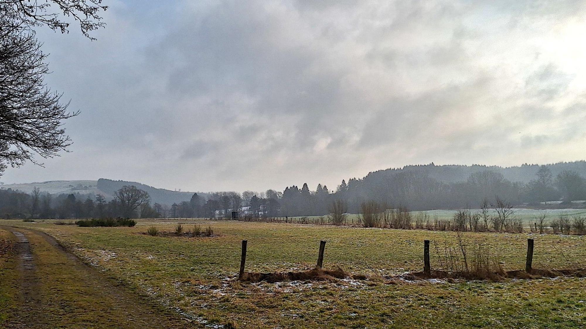 Auf einer landwirtschaftlichen Fläche soll eine PV-Anlage entstehen.
