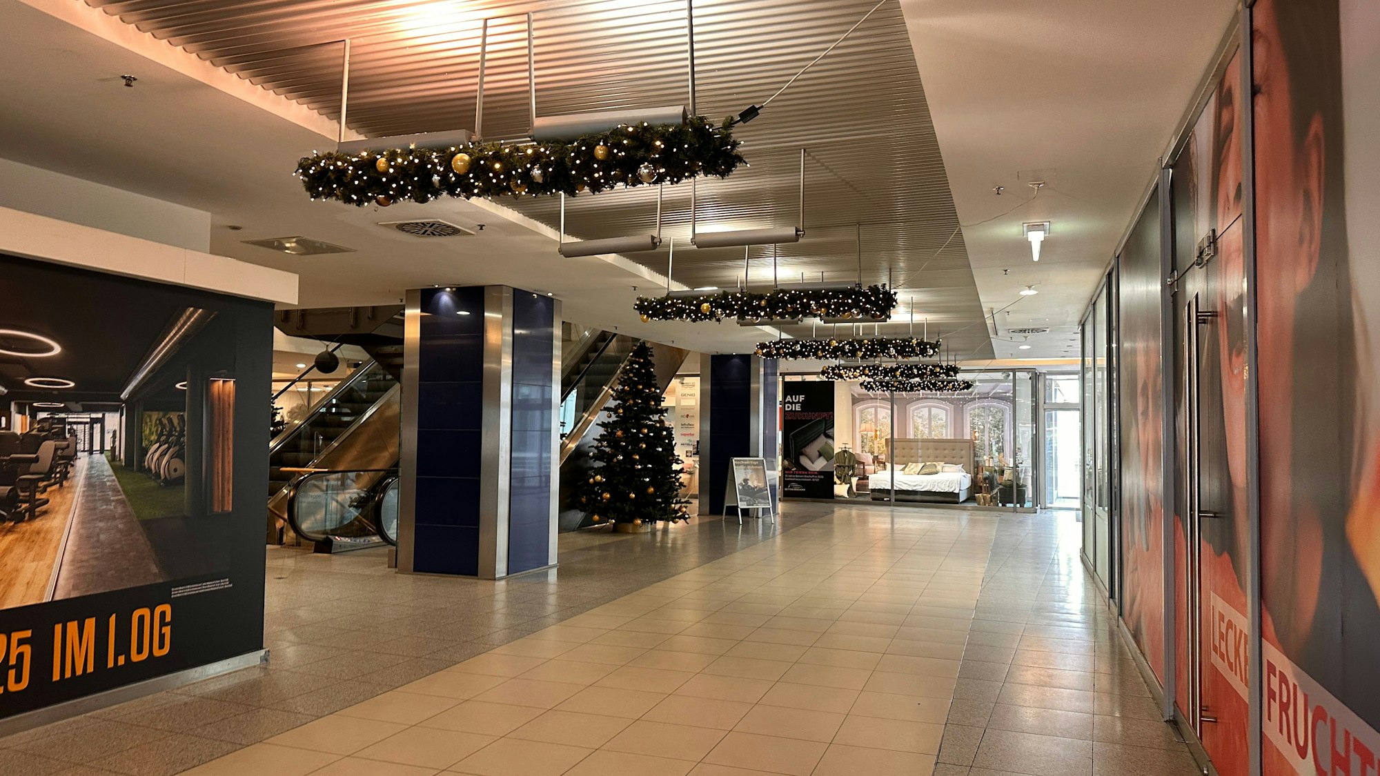 Im Februar hängt im Sommershof immer noch die Weihnachtsbeleuchtung samt Tannenbaum.