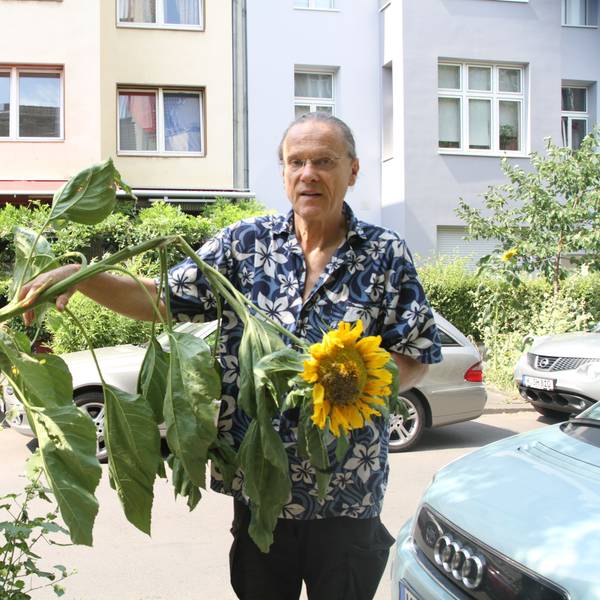 Das Bild zeig Walter Hoischen. Er korrigierte oft die städtische Pflanzung.