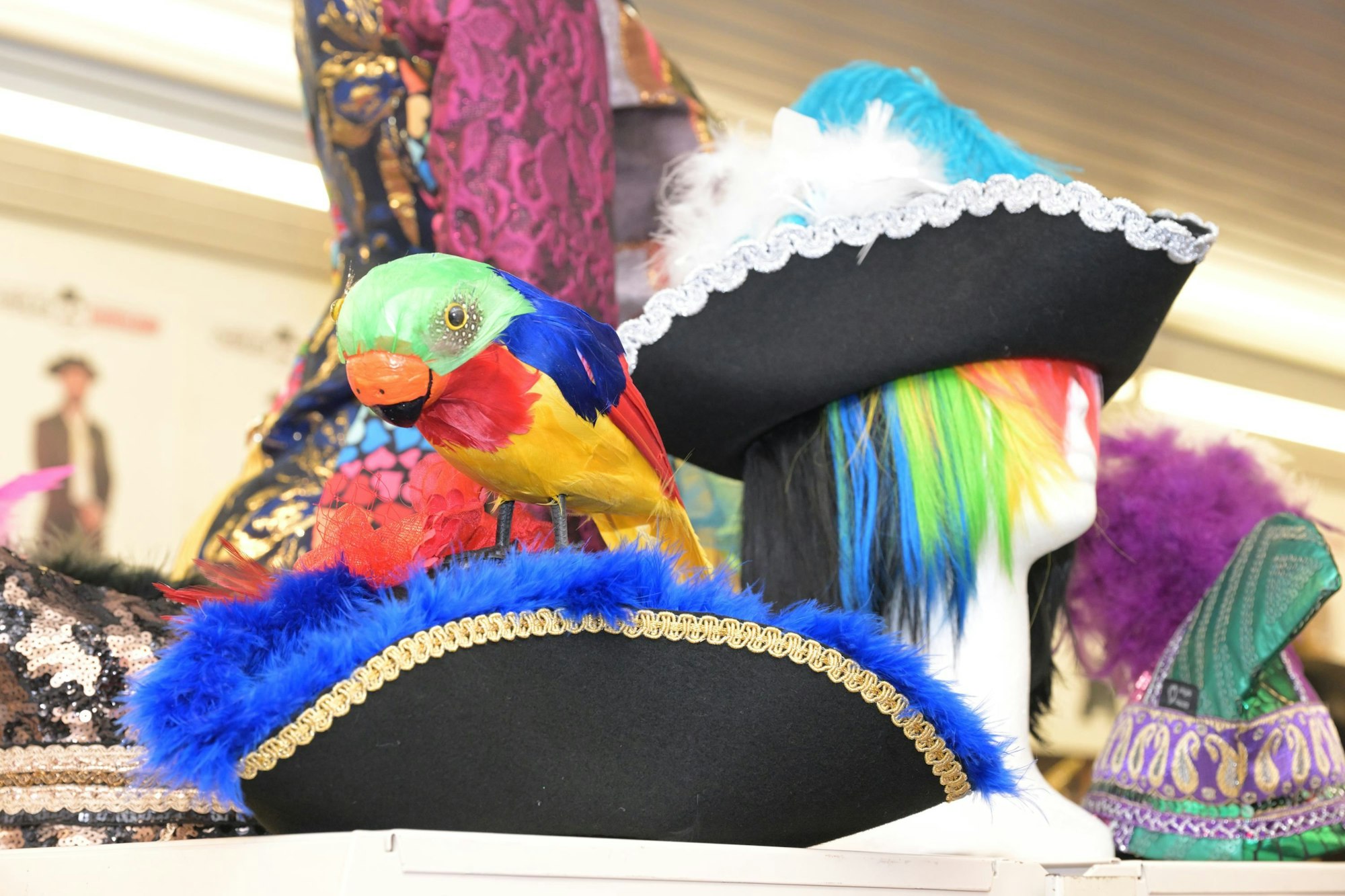 Das Foto zeigt bunte Piratenhüte