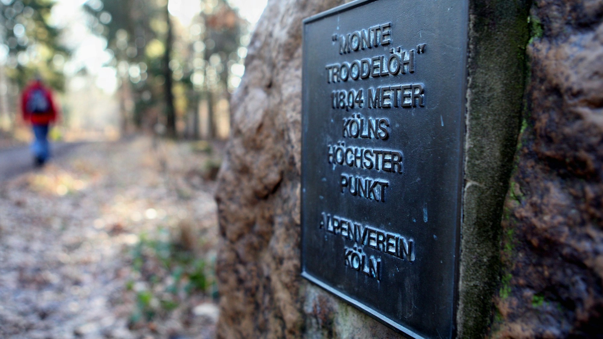 An einem großen Findling ist eine Bronzetafel angebracht.