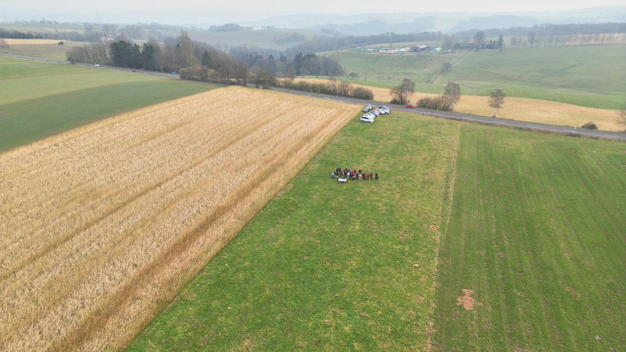 Eine Gruppe von Menschen steht auf einer Wiese, auf der eine Agri-Photovoltaik-Anlage entstehen soll.