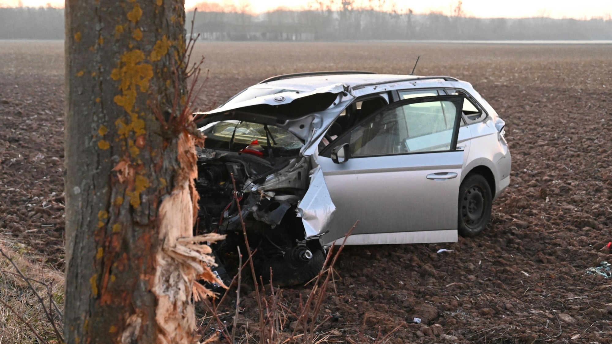 Ein silbernes Auto steht mit komplett zerstörter Front vor einem Baum, dessen Stamm vom Aufprall mit dem Wagen zersplittert ist.