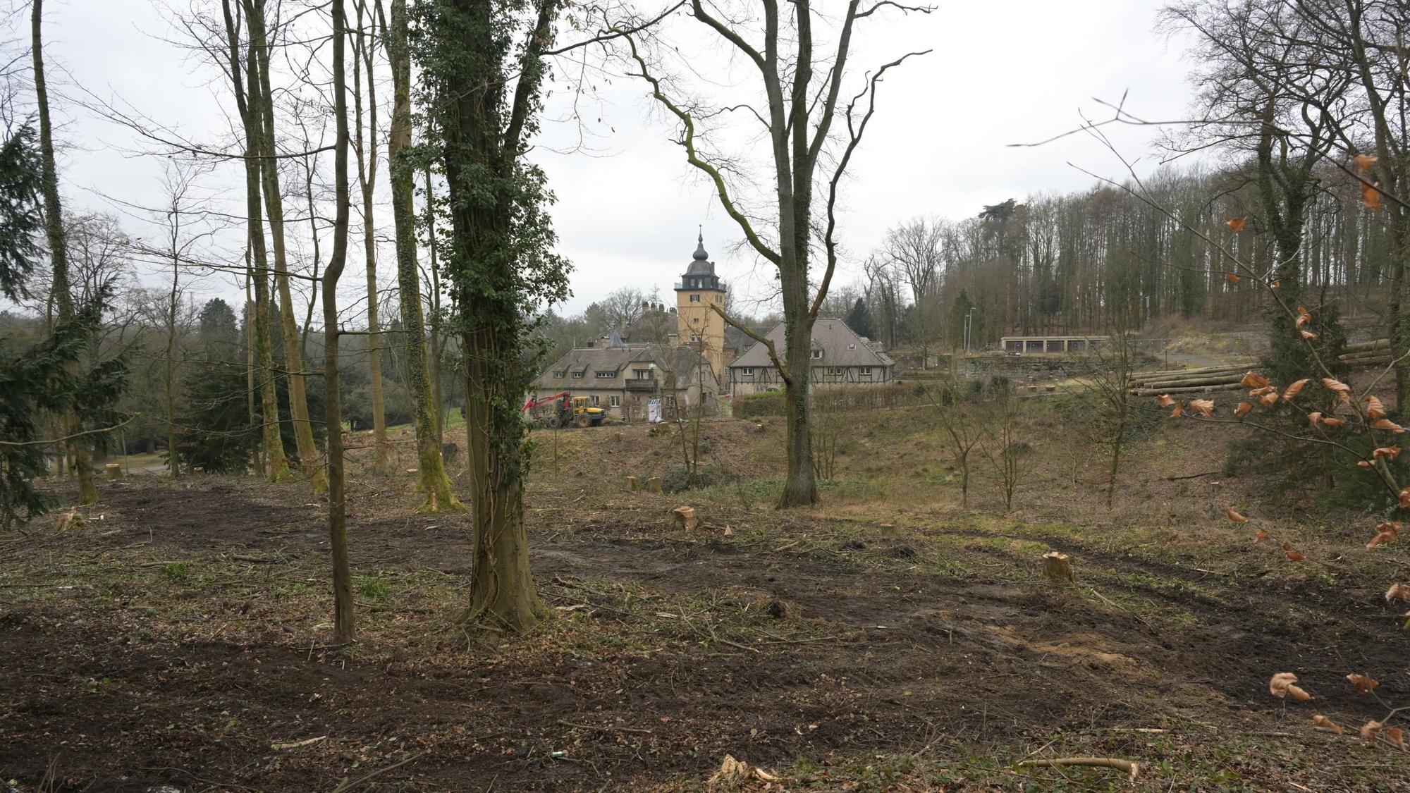 Zwischen einigen einzelnen Bäumen hindurch ist Schloss Lerbach zu sehen.
