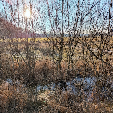 Die Landschaft rund um das Naturschutzgebiet „Kalkarer Moor/Grube Toni“
