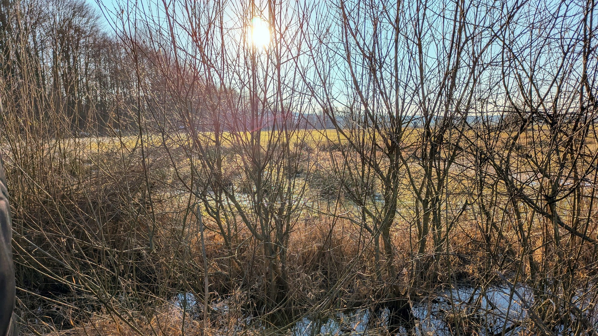 Die Landschaft rund um das Naturschutzgebiet „Kalkarer Moor/Grube Toni“