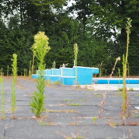 Zu sehen ist das Freibad Lechenich ein Jahr nach der Flut, Pflanzen wachsen aus den Zwischenräumen der Betonplatten.