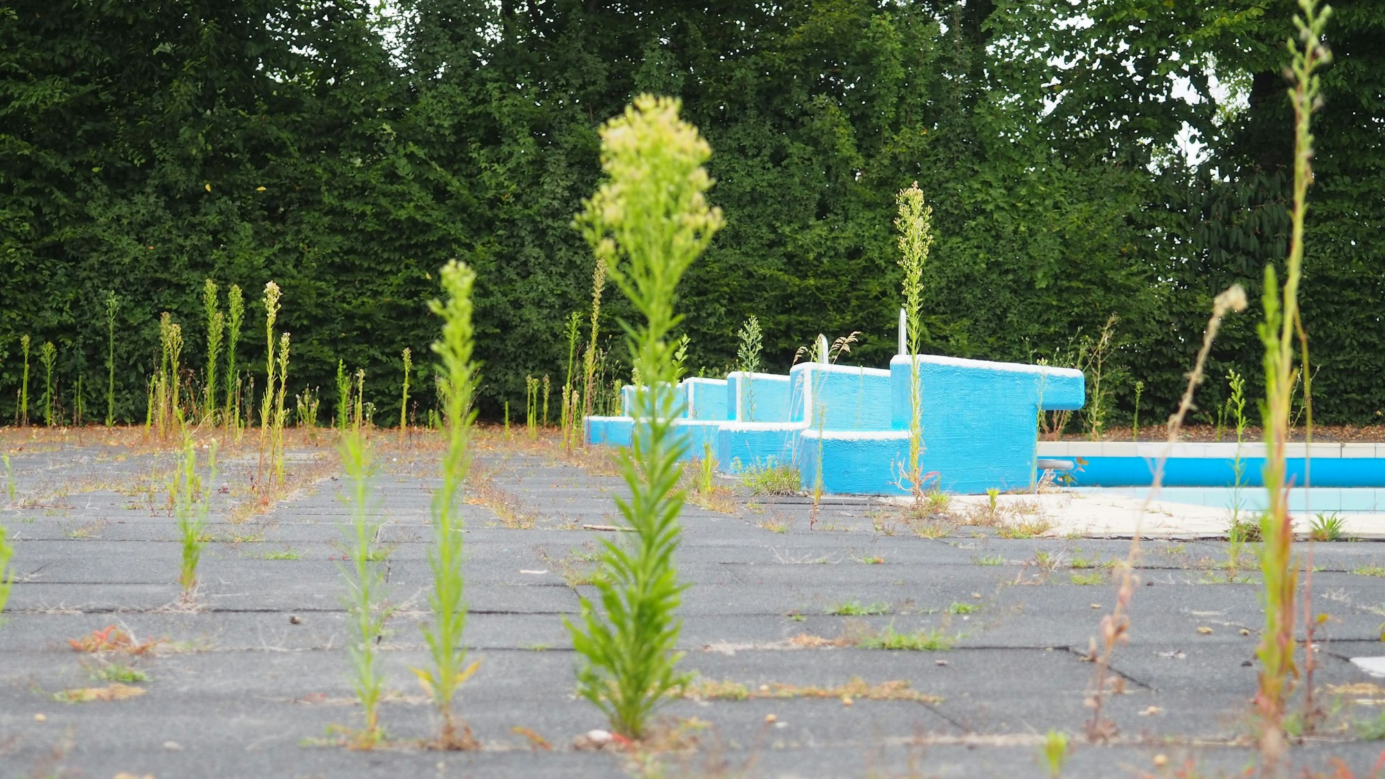 Zu sehen ist das Freibad Lechenich ein Jahr nach der Flut, Pflanzen wachsen aus den Zwischenräumen der Betonplatten.