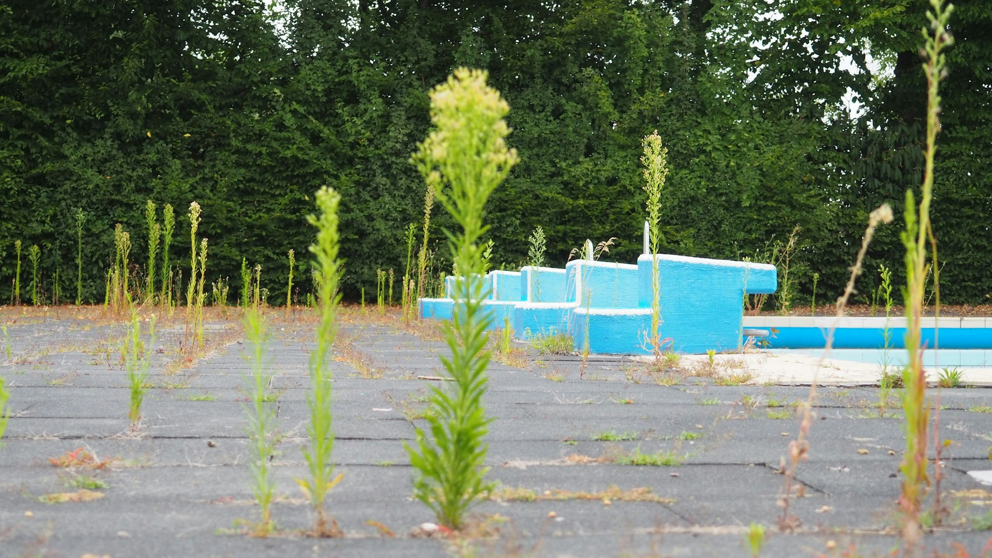 Zu sehen ist das Freibad Lechenich ein Jahr nach der Flut, Pflanzen wachsen aus den Zwischenräumen der Betonplatten.