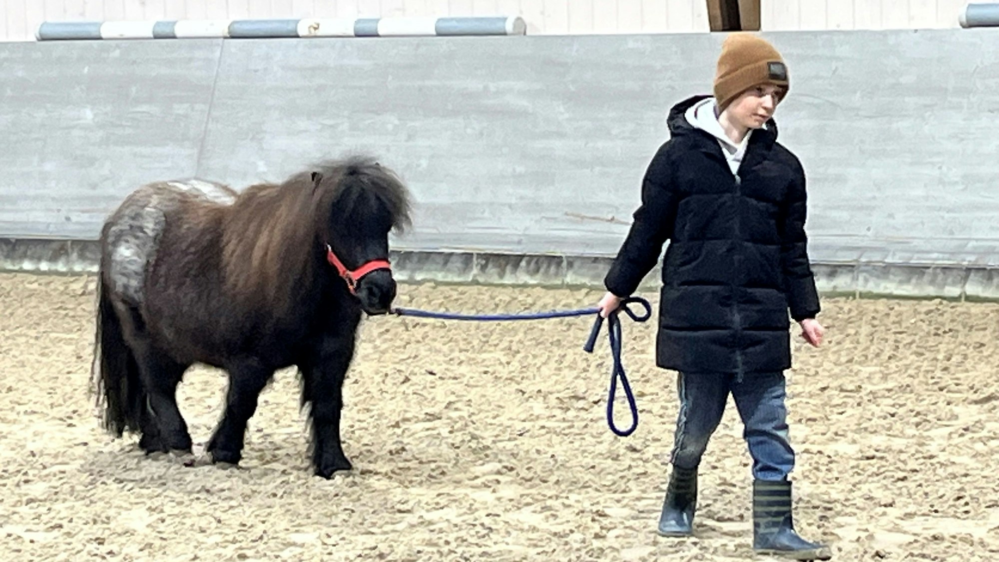 Ein Junge läuft mit einem schwarzen Shetland-Pony an der langen Leine durch einen Reitstall.