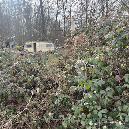 Ein Wohnwagen steht hinter dichtem Gebüsch auf einem Grundstück.