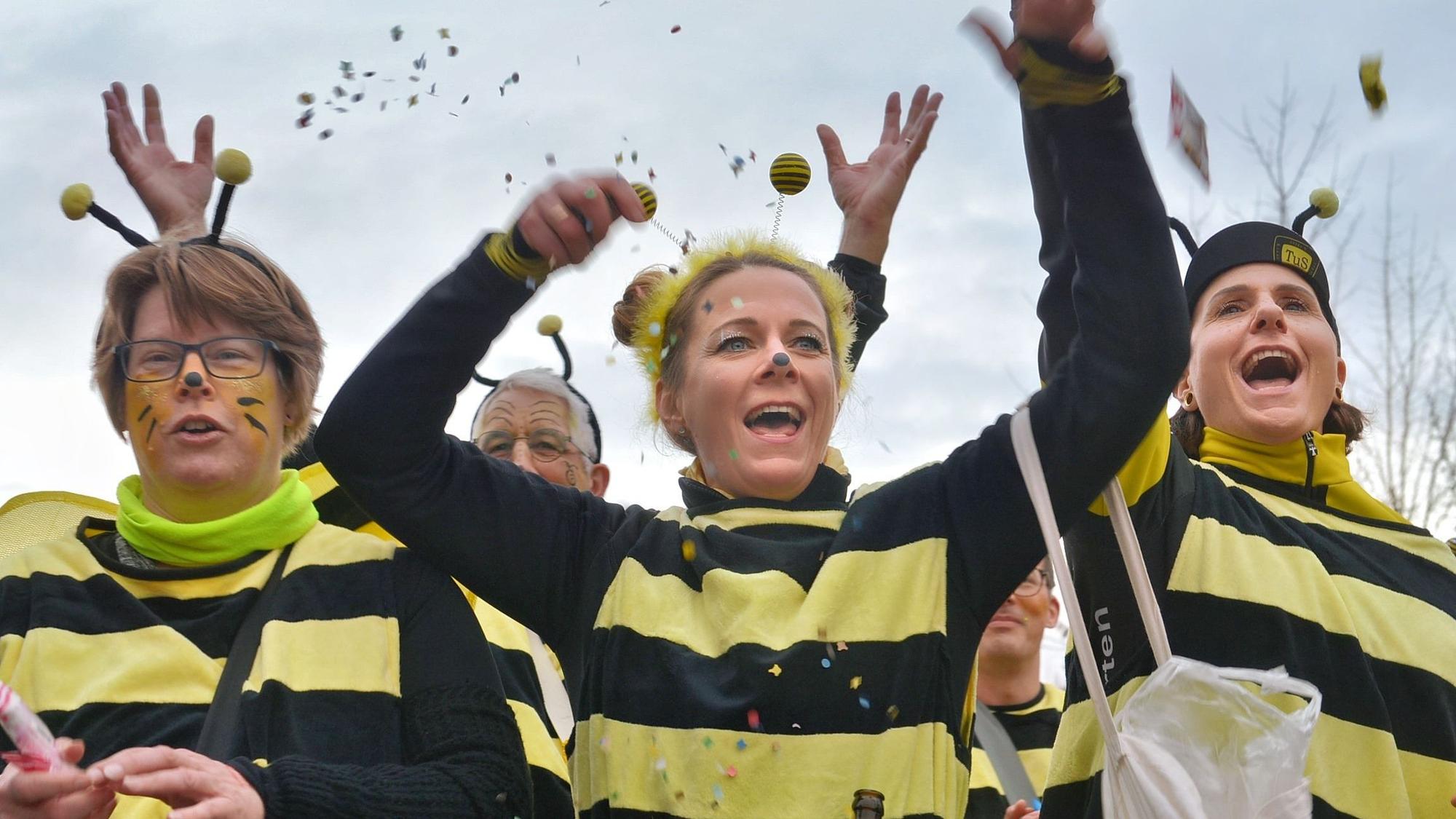 Drei als Bienen verkleidete Frauen und ein Mann werfen Kamelle.