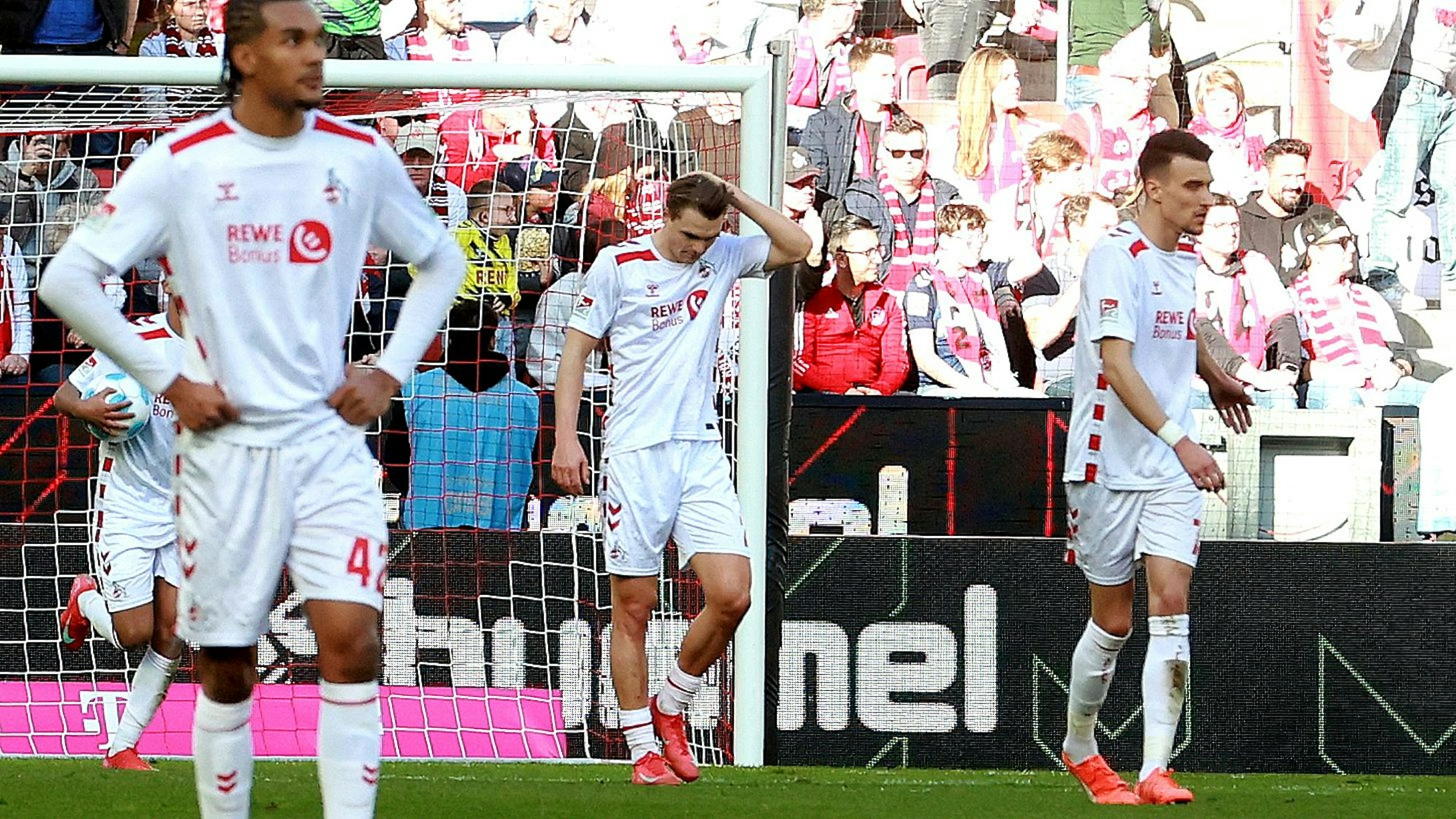 1. FC Köln vs. Fortuna Düsseldorf, 23. Spieltag, 23.02.2025, 13.30 Uhr, Mitte: Joel Schmied (1. FC Köln), Bild: Herbert Bucco