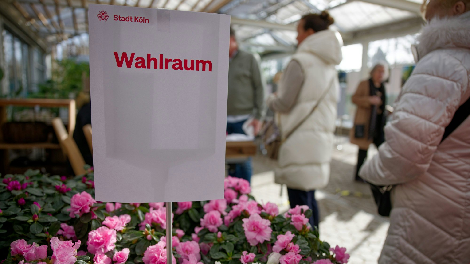 Wahlberechtigte stehen in einem Wahllokal in einem Gewächshaus eines Gartenbaubetriebs in Köln-Hahnwald.