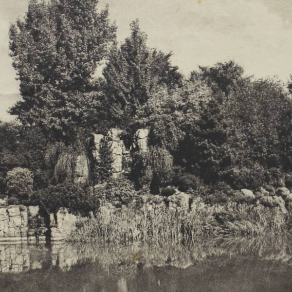 Das Alpinum im Botanischen Garten, ca. 1925.