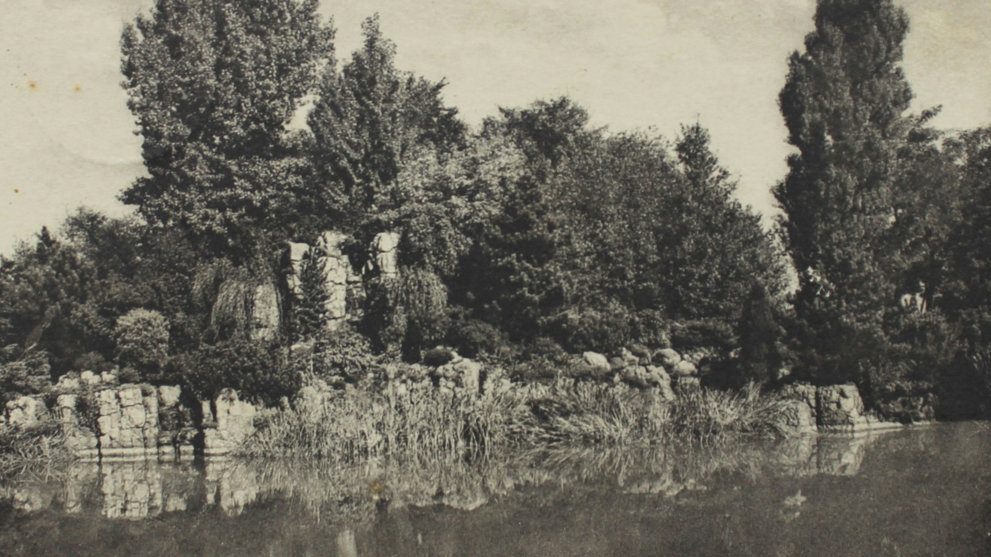 Das Alpinum im Botanischen Garten, ca. 1925.