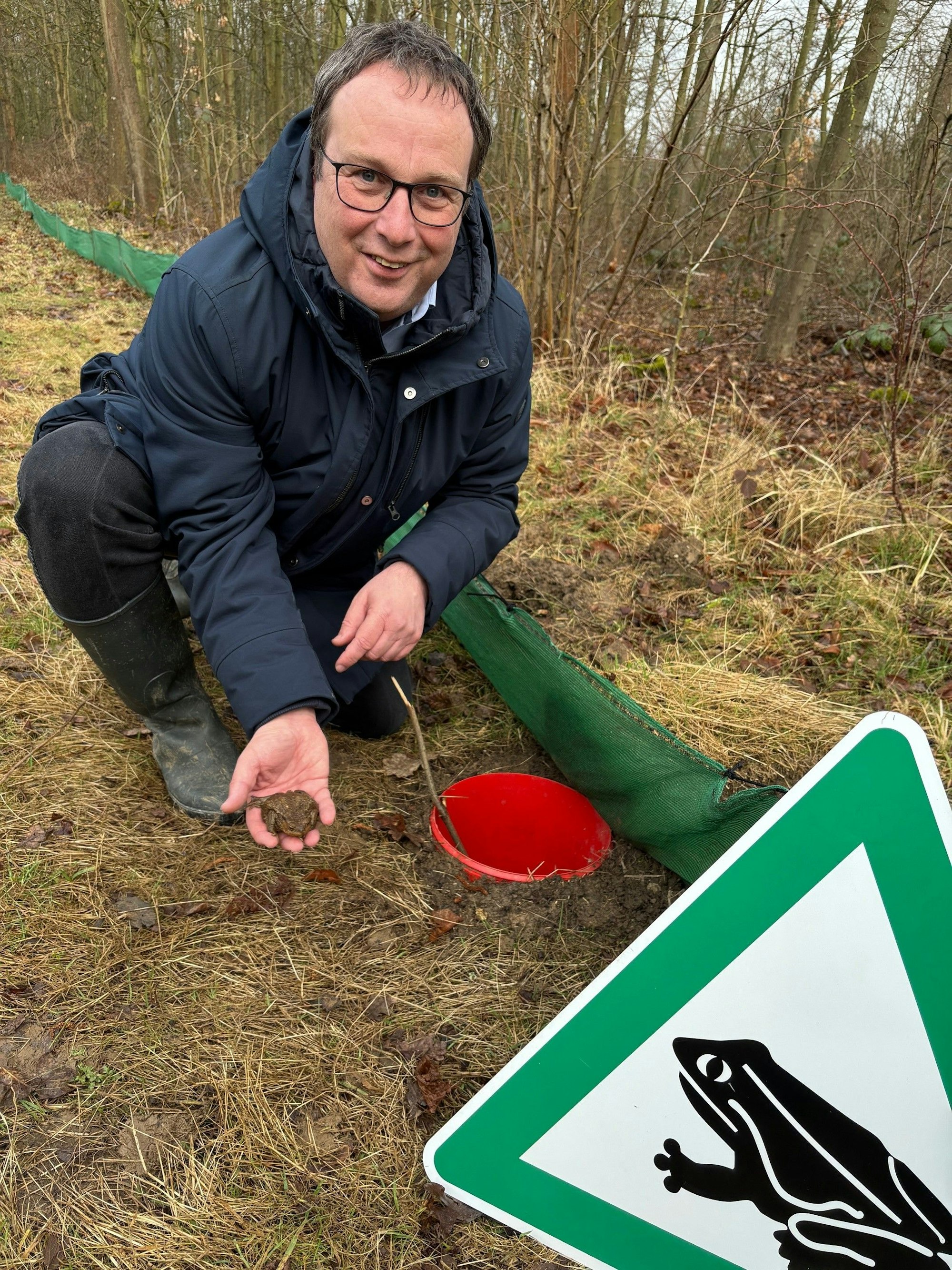 NRW-Umweltminister Oliver Krischer (Grüne) besucht ein Krötenschutzprojekt bei Erftstadt und hält Erdkröten in seinen Händen.