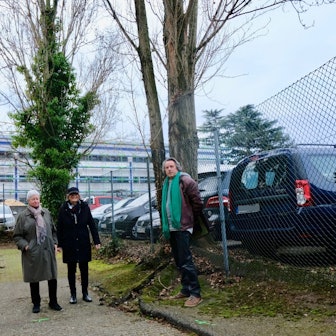 Zwei Frauen und ein Mann stehen vor zwei Schwarzpappeln.