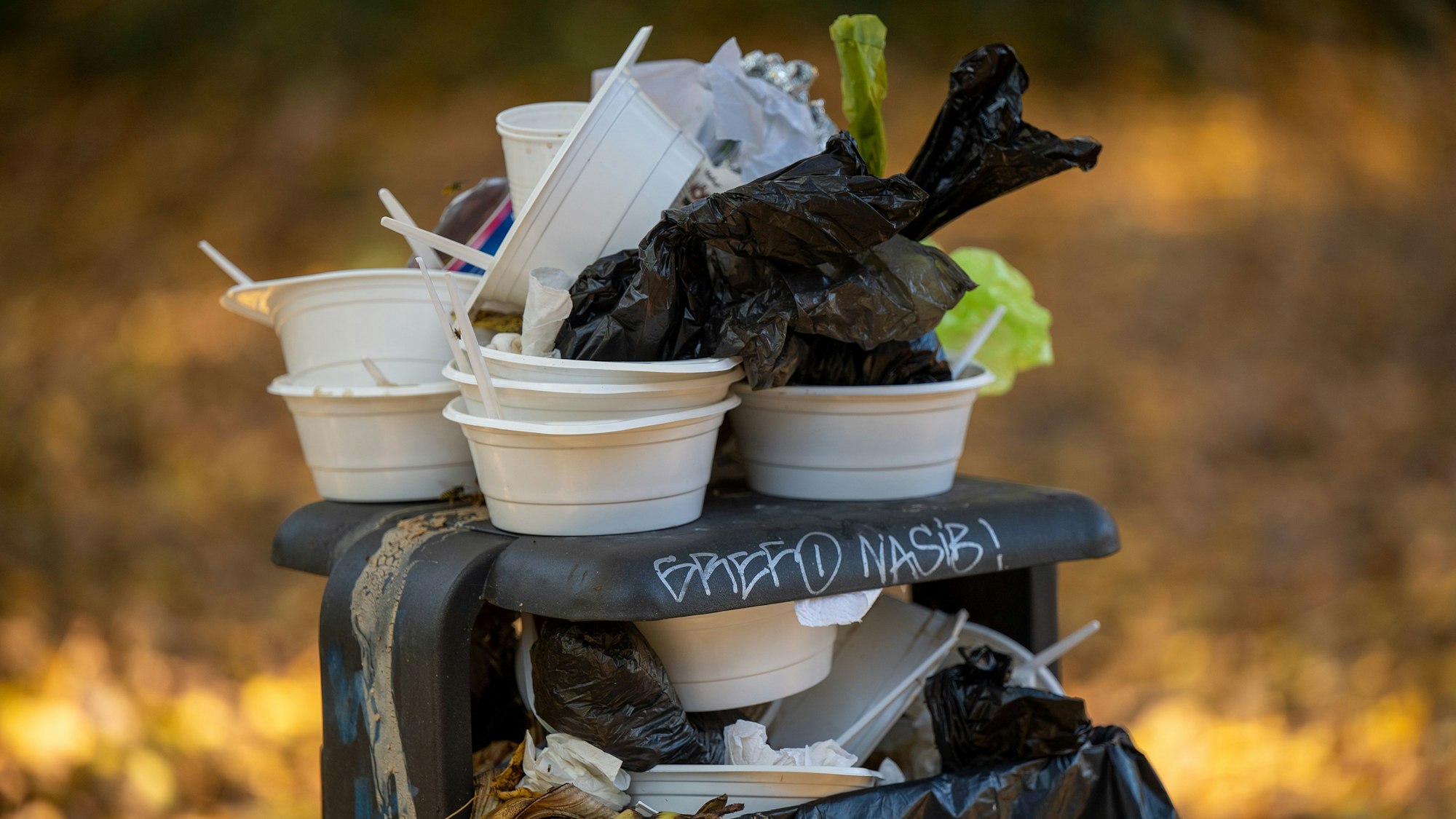 Benutze Einwegbehälter und Teller stapeln sich auf einem überfüllten Mülleimer in einem Park.