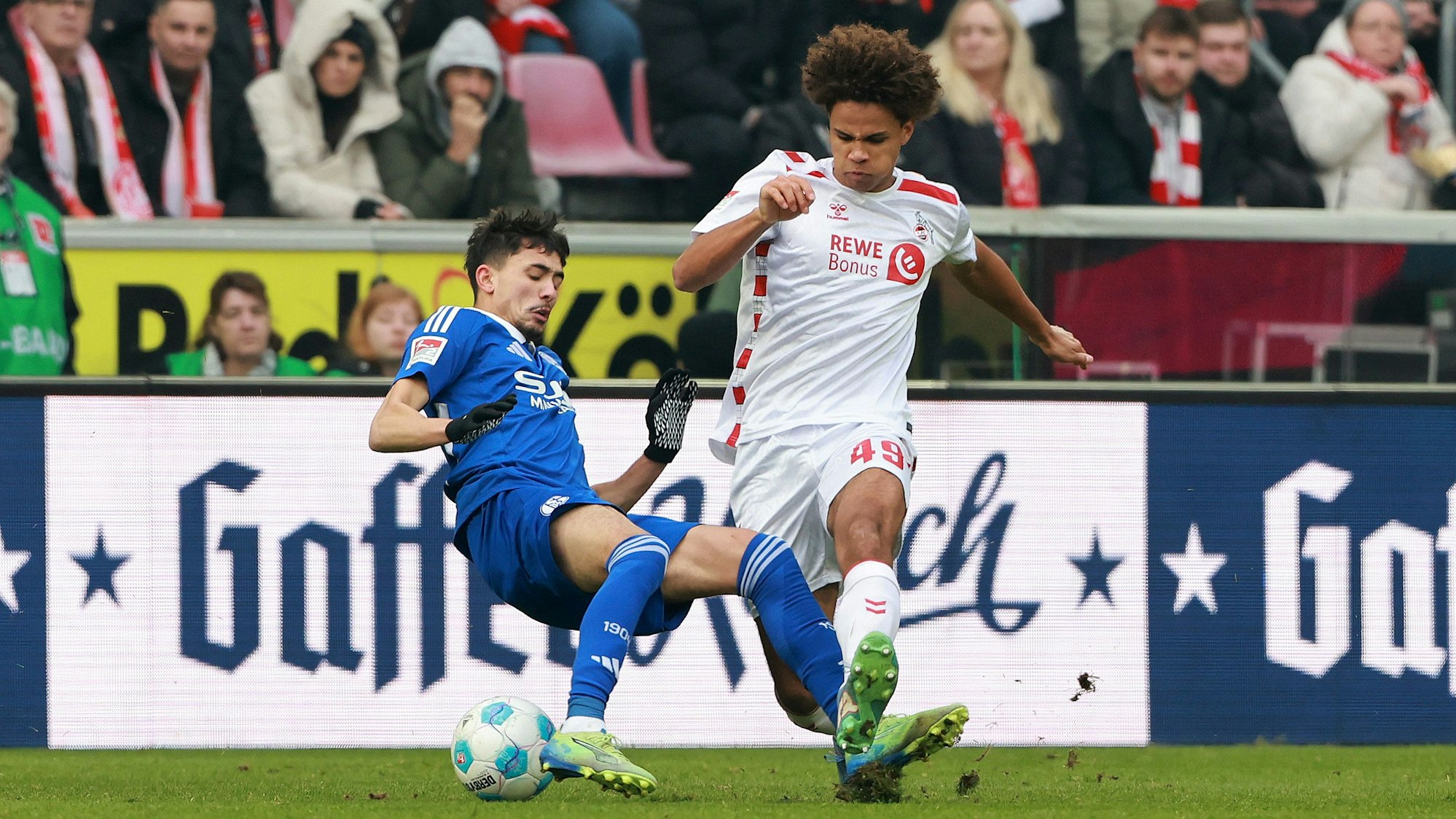 1. FC Köln vs. Schalke 04, 21. Spieltag, 09.02.2025, 13.30 Uhr, Neo Telle (1. FC Köln), Bild: Herbert Bucco