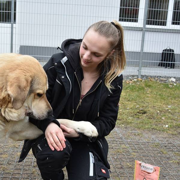 Das Foto zeigt Kristin Walotka und Hund Aldrin im Tierheim Koppelweide.