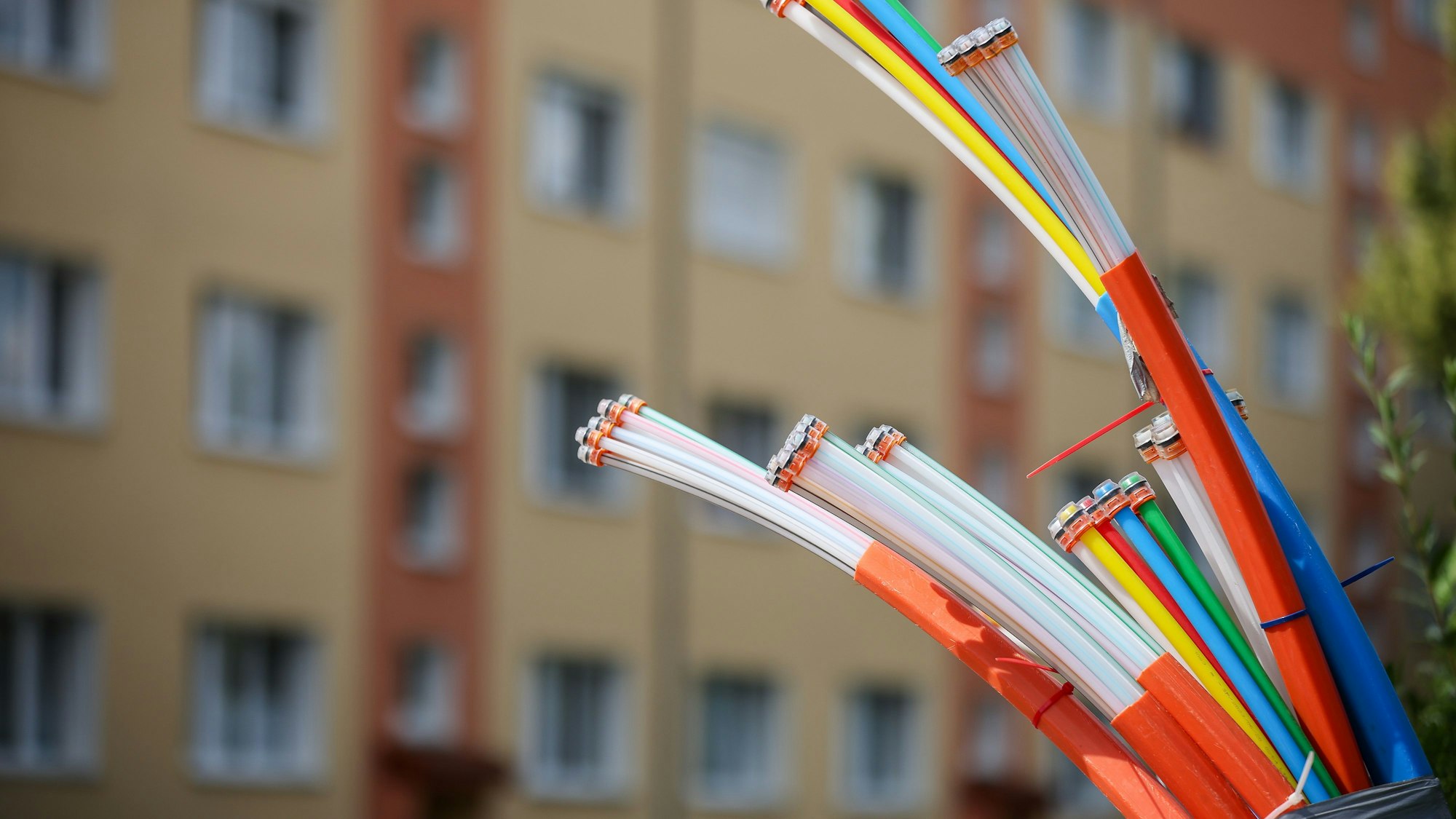 Aus dem Sockel eines Schaltschranks ragen Glasfaserkabel heraus.
