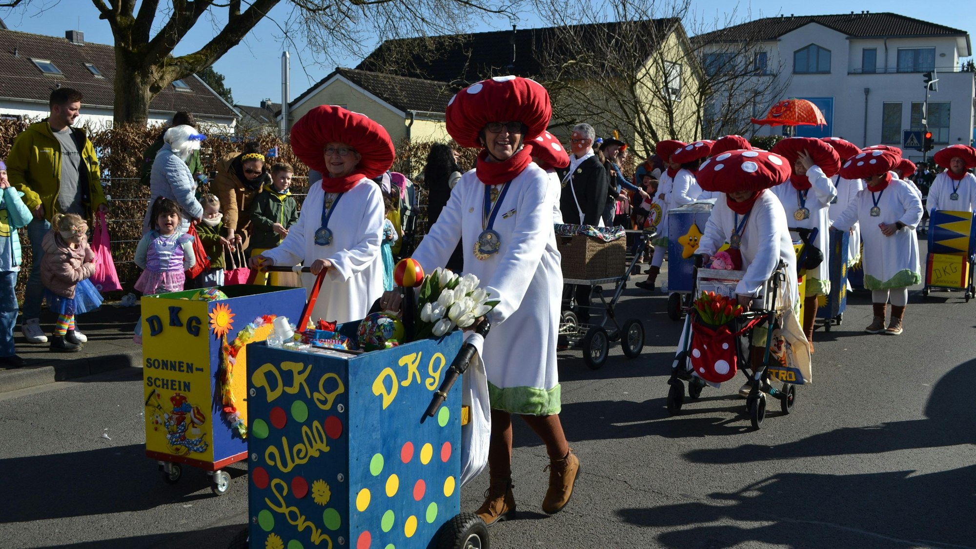 Als Fliegenpilze war die KG Sonnenschein im Zoch in Sankt Augustin unterwegs.