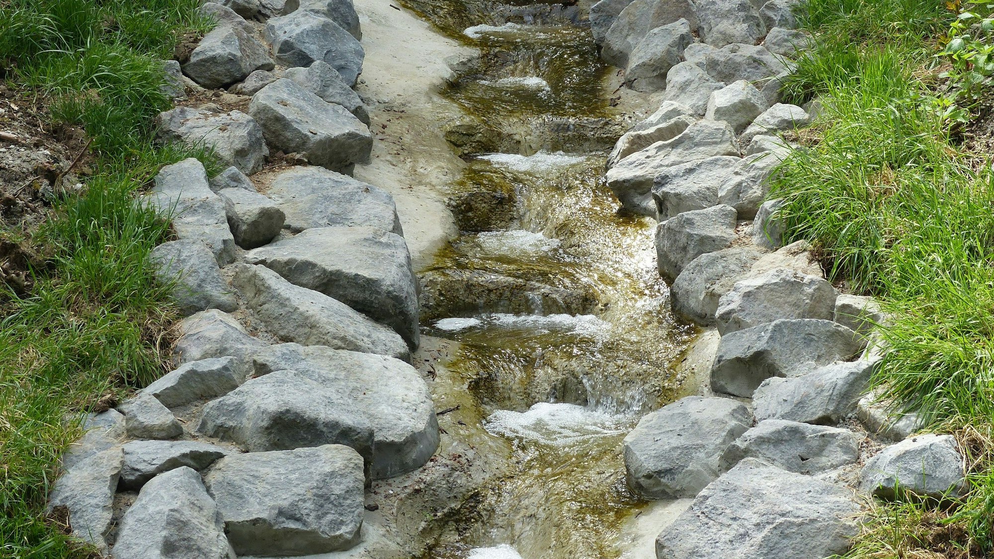 Die Große Laache ist ein wichtiger ökologischer Faktor in der Region.