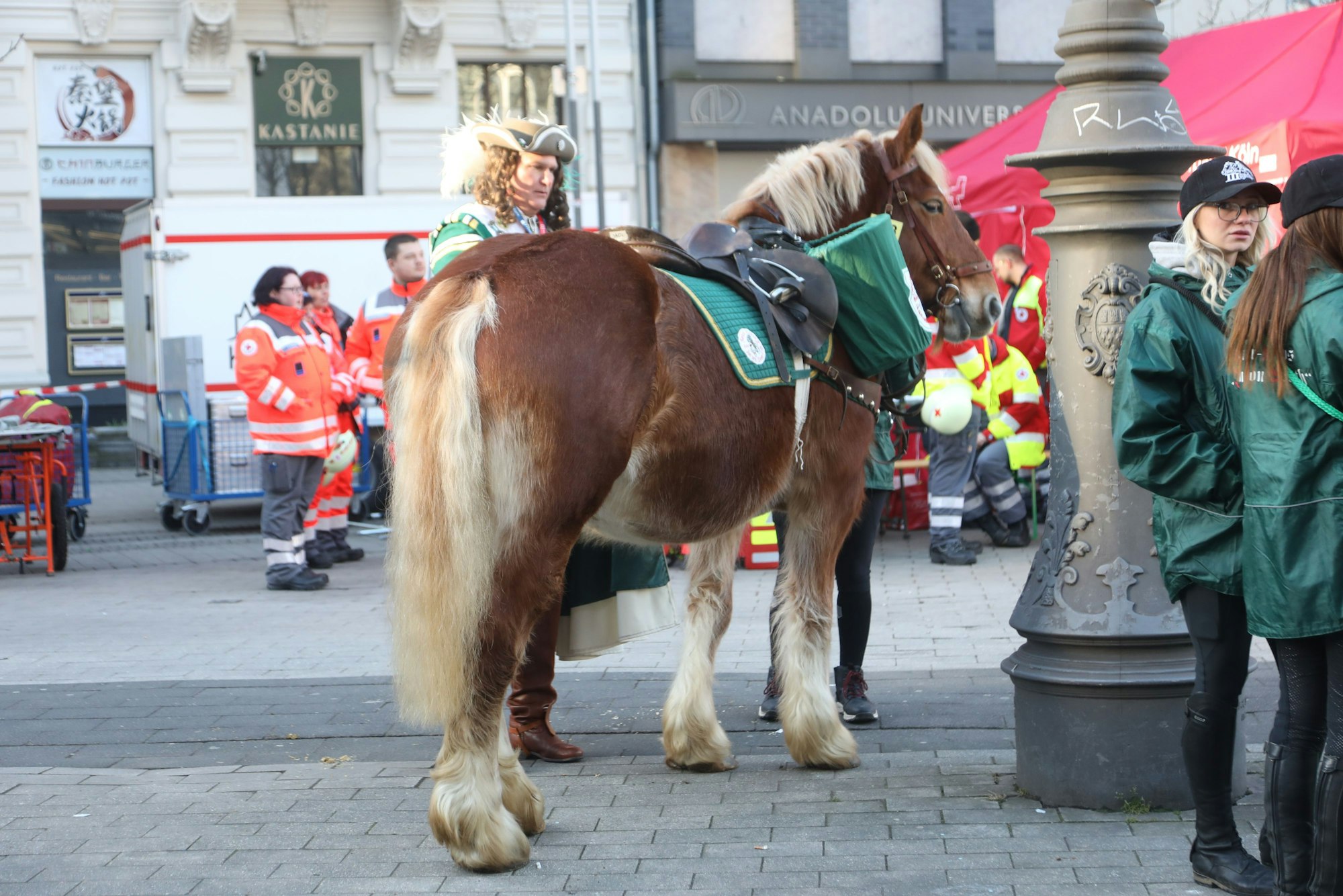Veterinärinnen kontrollieren Pferde, Kutschen und Transportfahrzeuge zentral am Friesenplatz.
