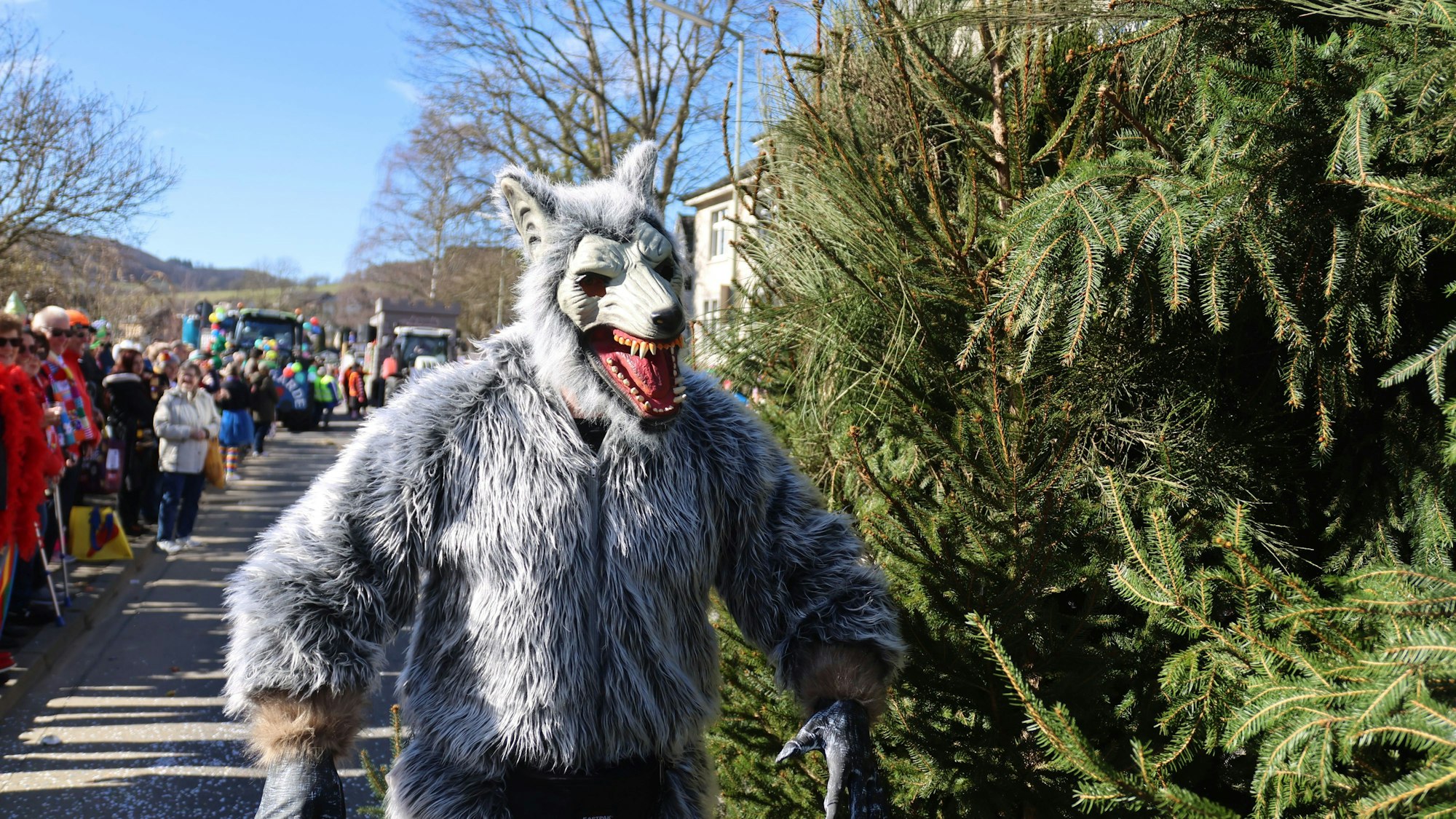 Ein als Wolf verkleideter Karnevalsjeck.