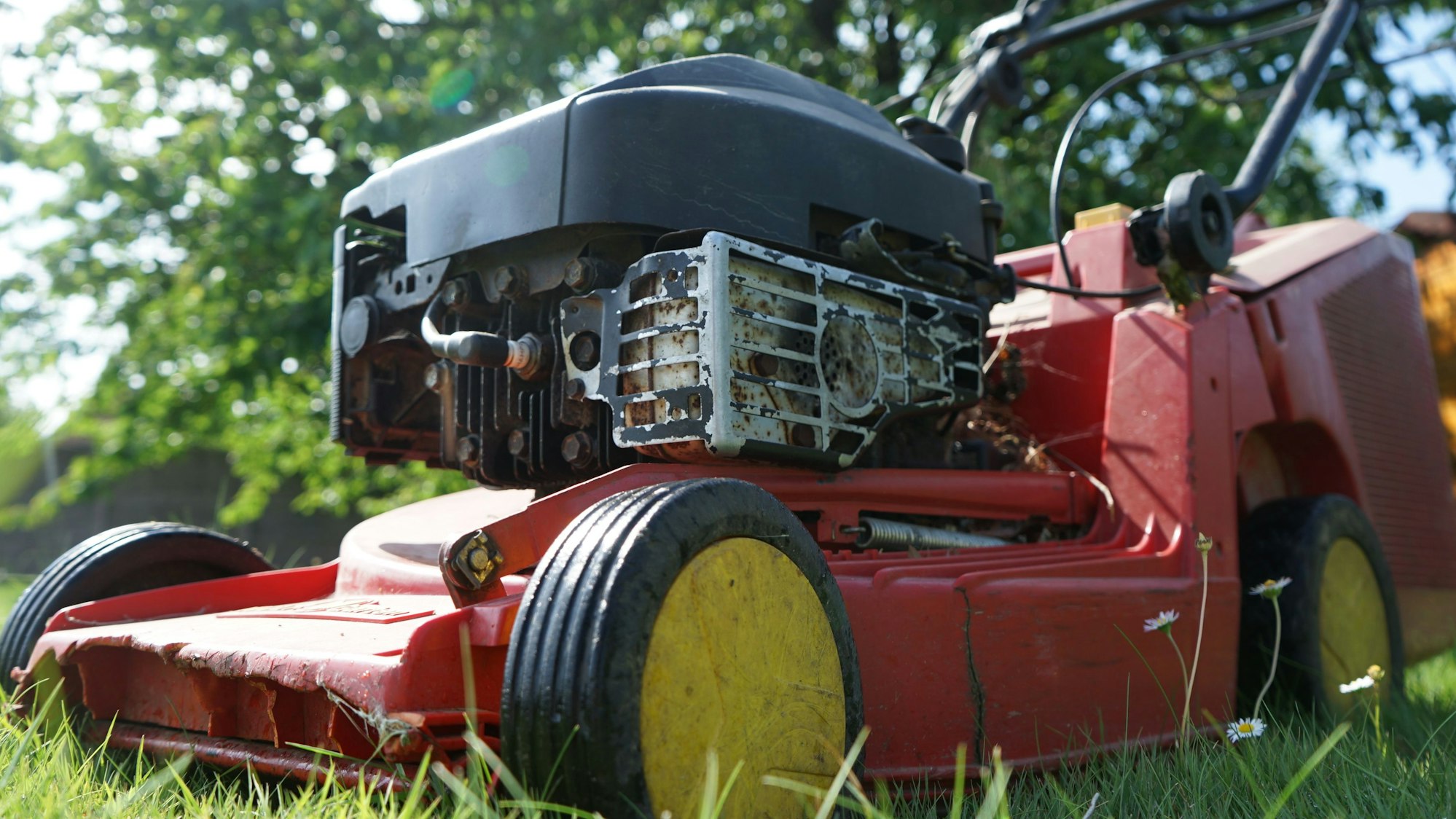 Ein Rasenmäher steht auf einer Wiese.