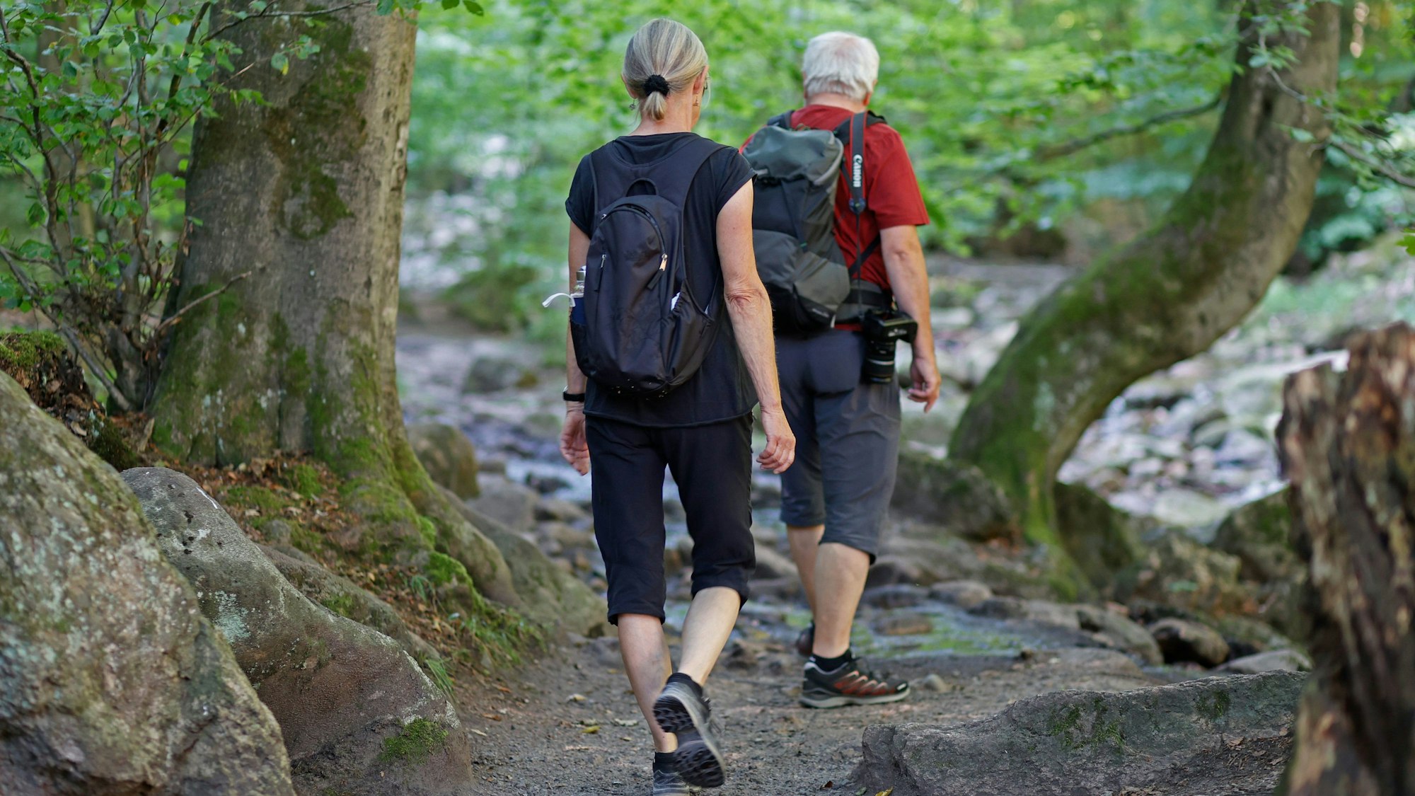 Wanderer auf einem Waldweg.