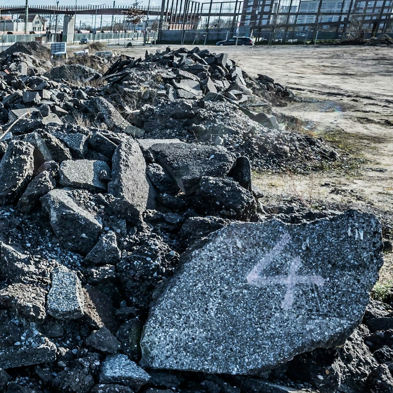 Abfälle in der Bahnstadt-West zwischen Europaallee und Bahnallee. Foto: Ralf Krieger