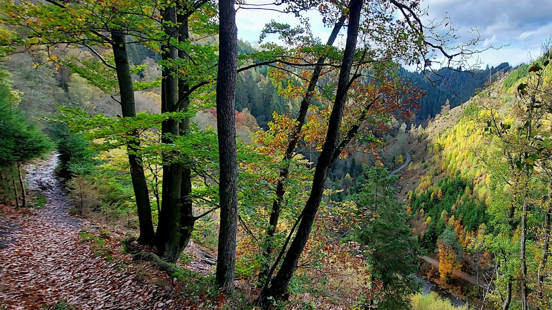 Das Foto zeigt einen Wanderweg oberhalb eines tief eingeschnittenen, bewaldeten Tals im Herbst.