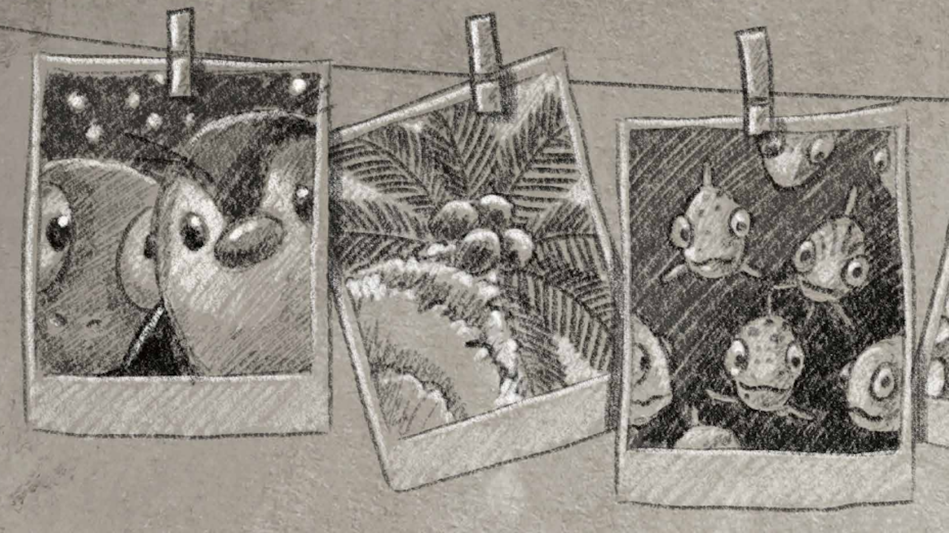 Gezeichnete Fotos von Tieren und einer Palme hängen mit Wäscheklammern an einer Leine nebeneinander.