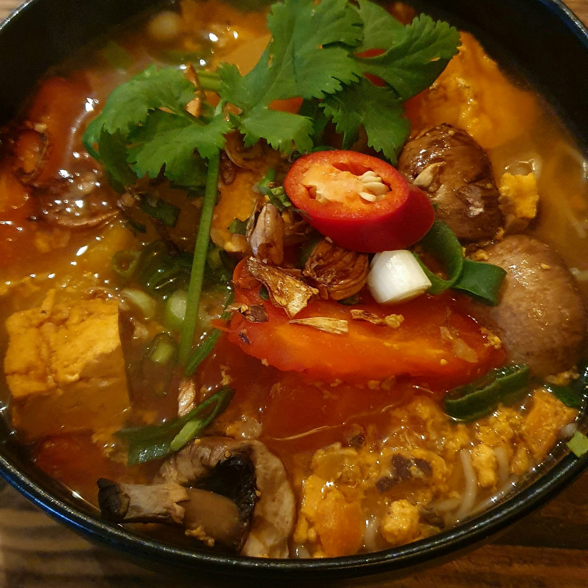 Eine Schüssel voller Zutaten ist zu sehen. Darauf ein frischer Stängel Koriander.