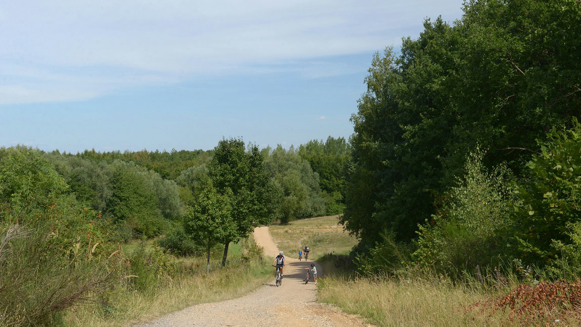 Auf dem Bild ist die Strecke zu sehen, befahren von einigen Radlern, links und rechts des Weges viele Büsche und Bäume.