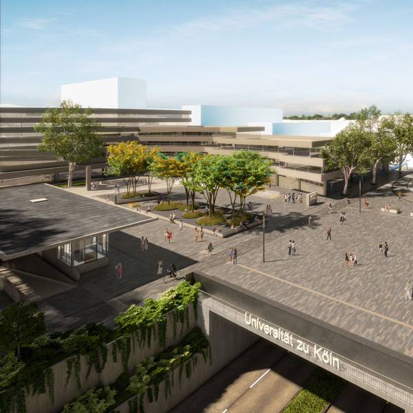Visualisierung des Albertus-Magnus-Platz