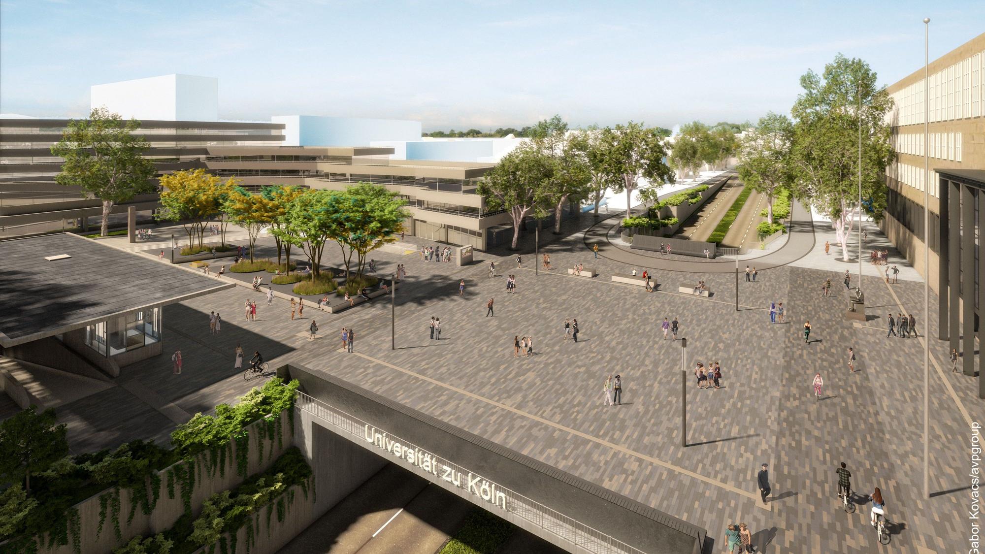 Visualisierung des neuen Albertus-Magnus-Platz