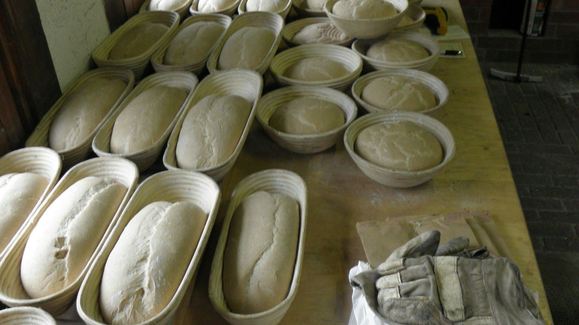 In zahlreichen Gärkörbchen sind Teiglinge aufbewahrt, die später zu Brot gebacken werden.