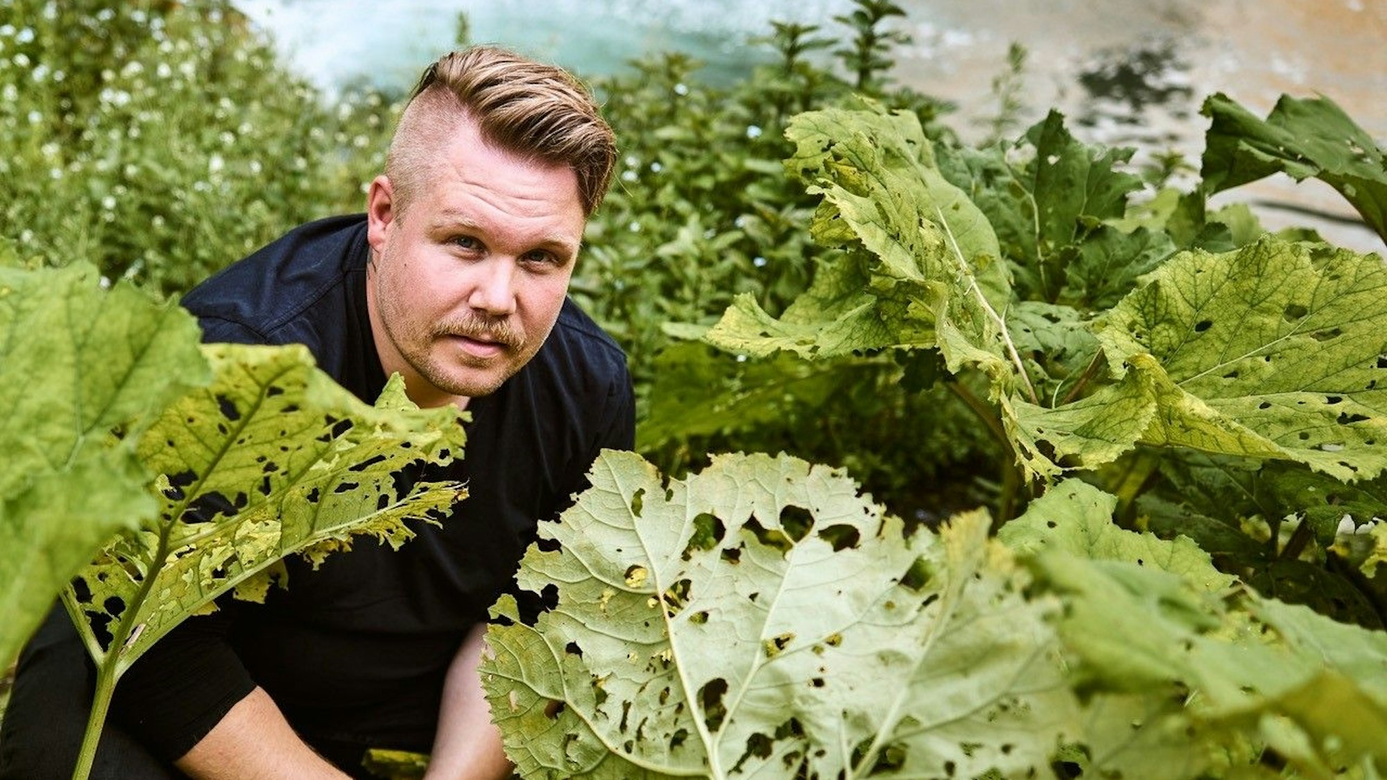 Insektenforscher Thomas Hörren.