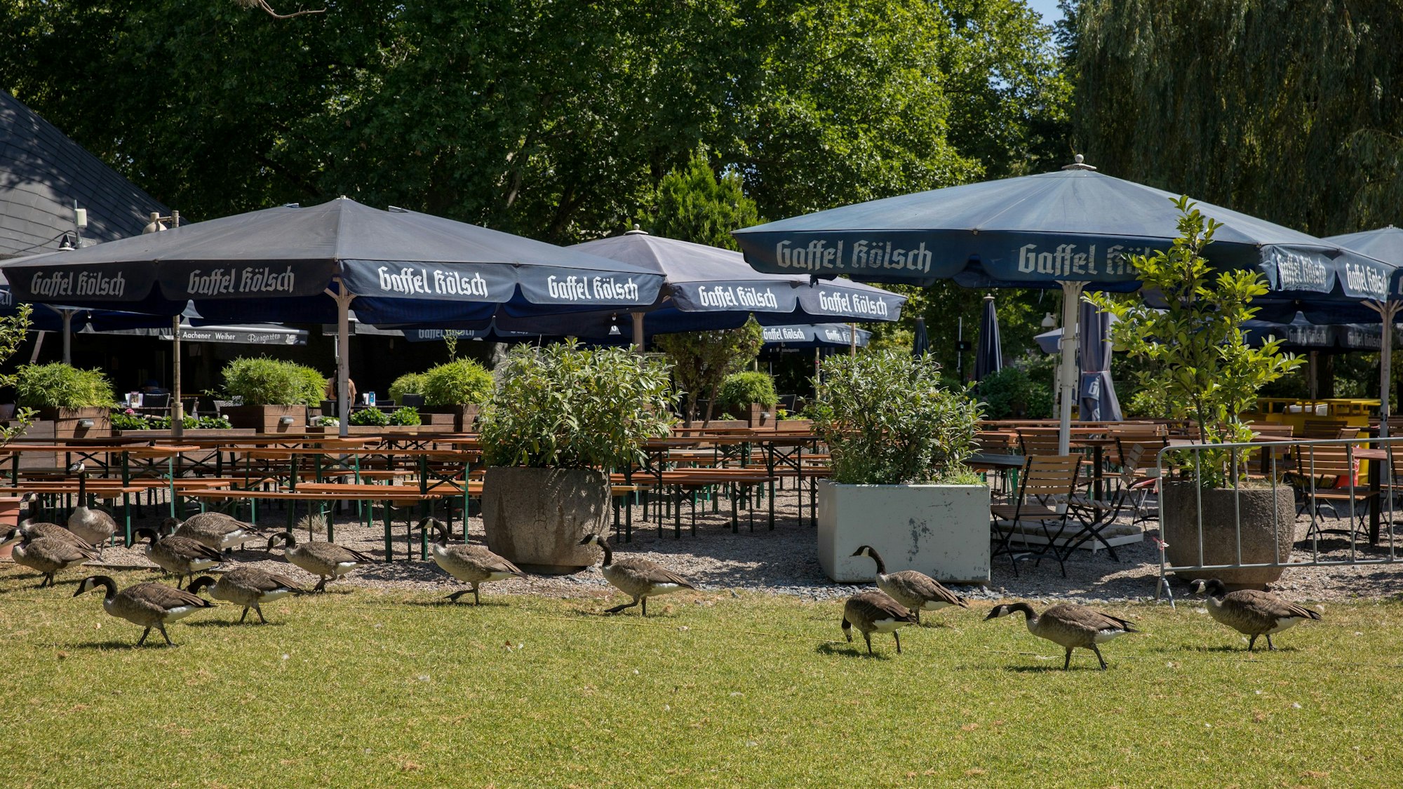 Der Biergarten am Aachener Weiher.
Foto: Michael Bause