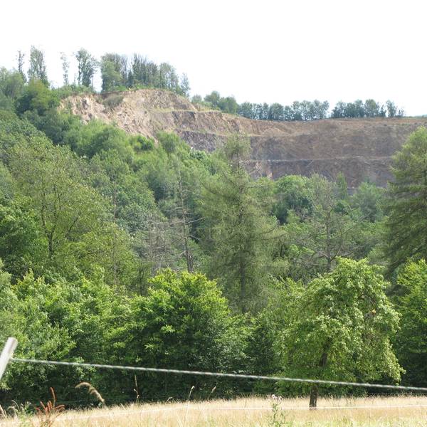 Bäume und die Abbaukante eines Steinbruchs im Hintergrund.
