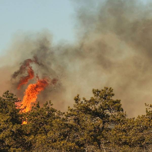 Flammen schlagen aus der Vegetation während eins Buschfeuers in Suffolk County auf Long Island in New York.
