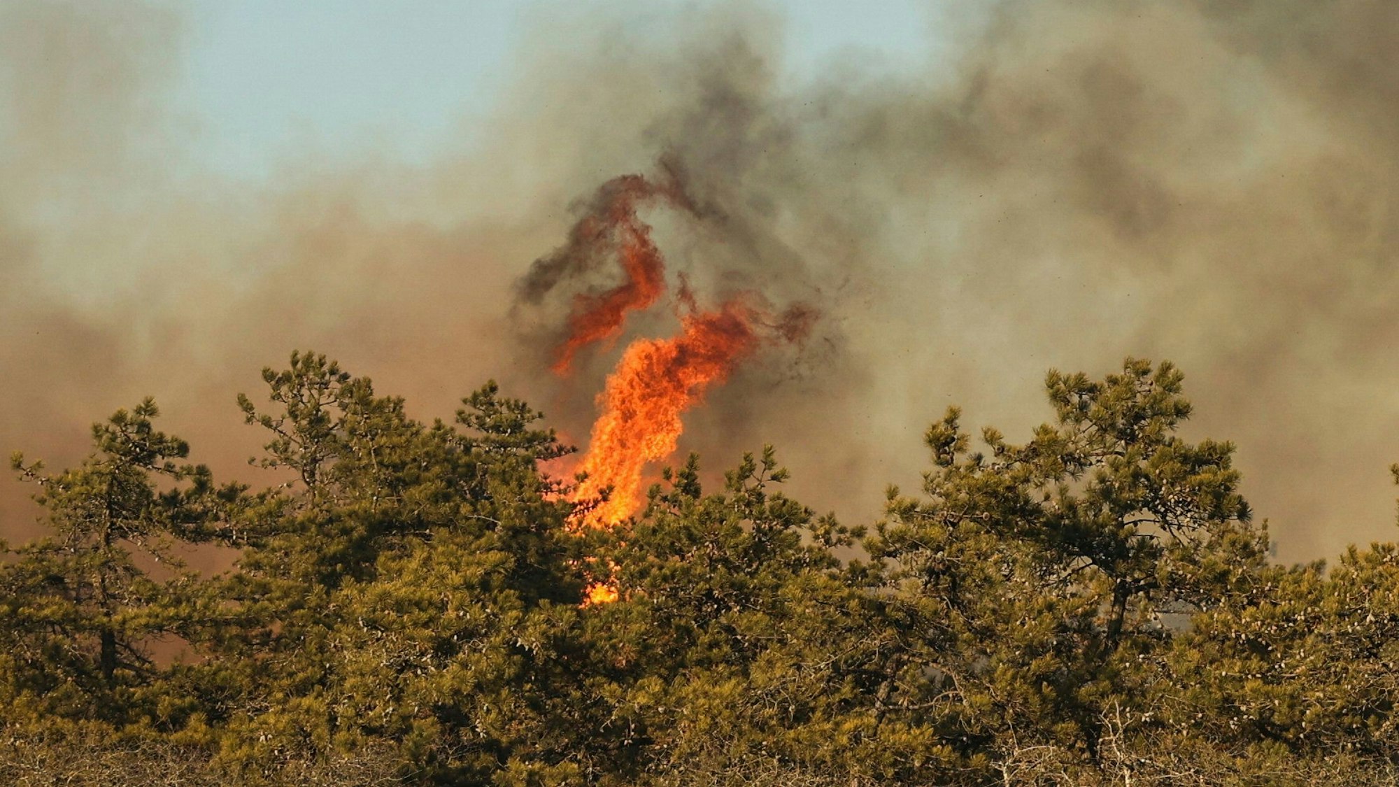 Flammen schlagen aus der Vegetation während eins Buschfeuers in Suffolk County auf Long Island in New York.