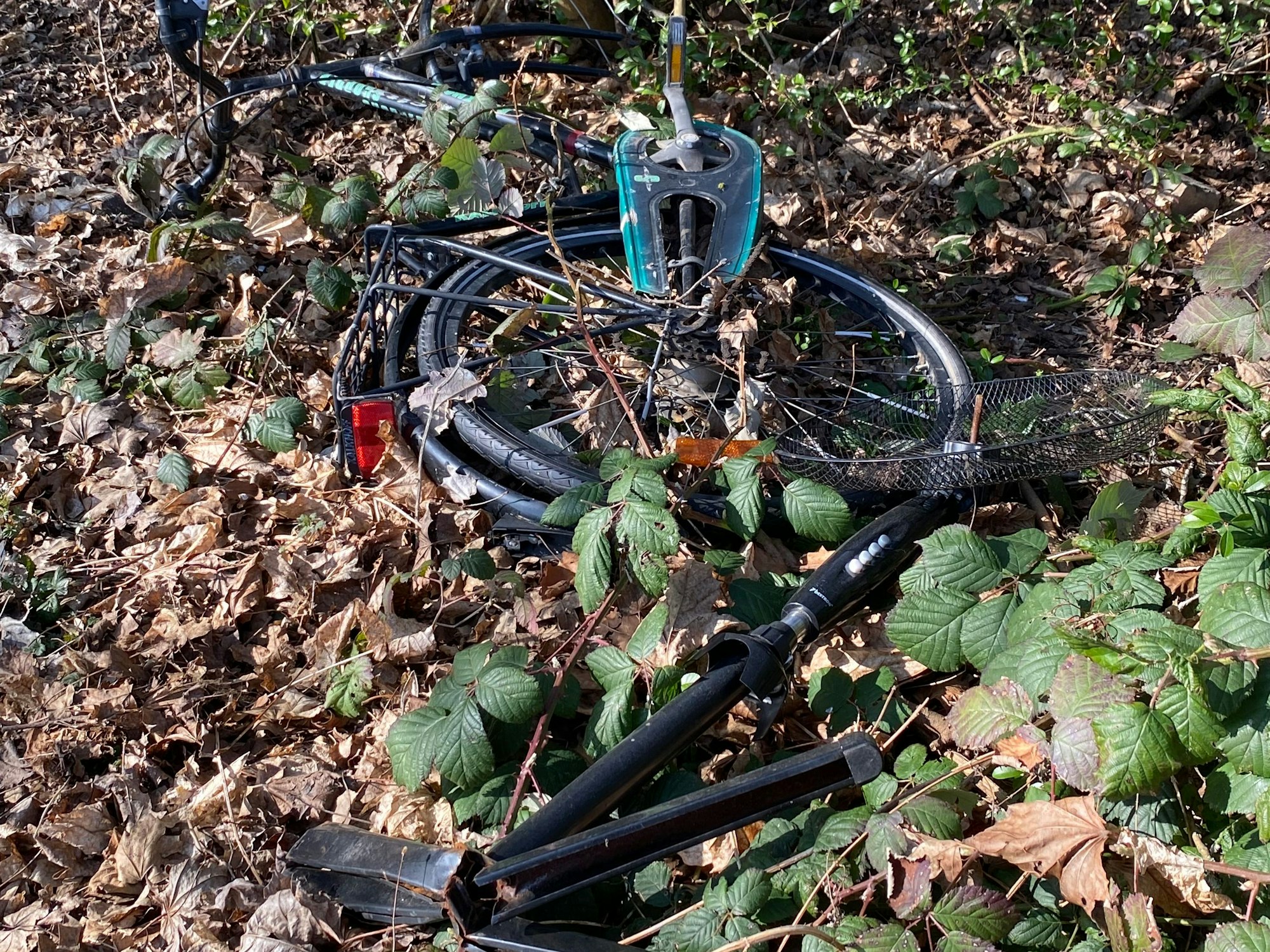 Ein Fahrradrahmen in einer Grünanlage